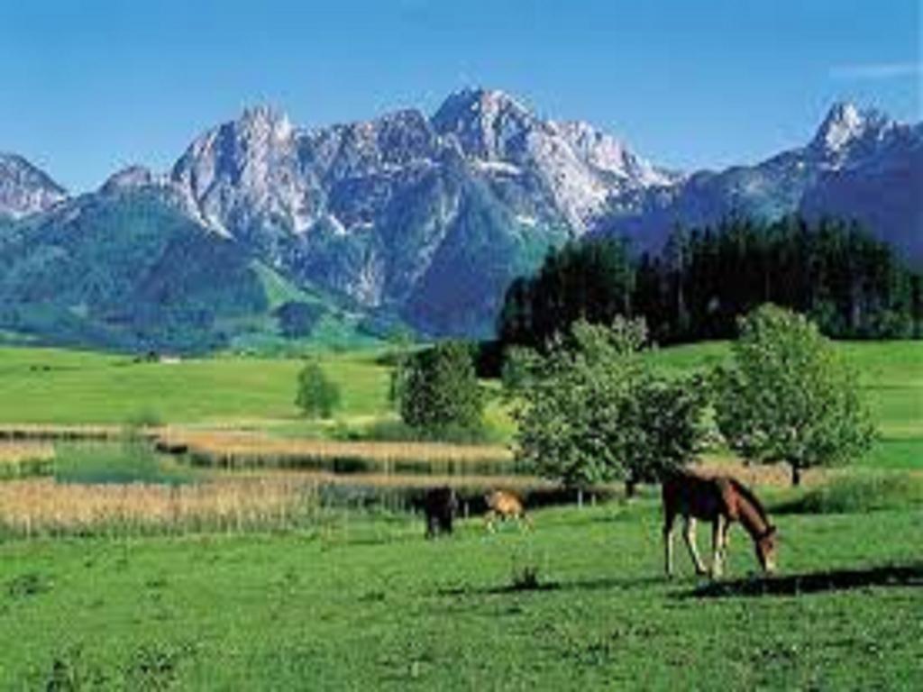 Waldhaus Διαμέρισμα Sankt Martin am Tennengebirge Εξωτερικό φωτογραφία