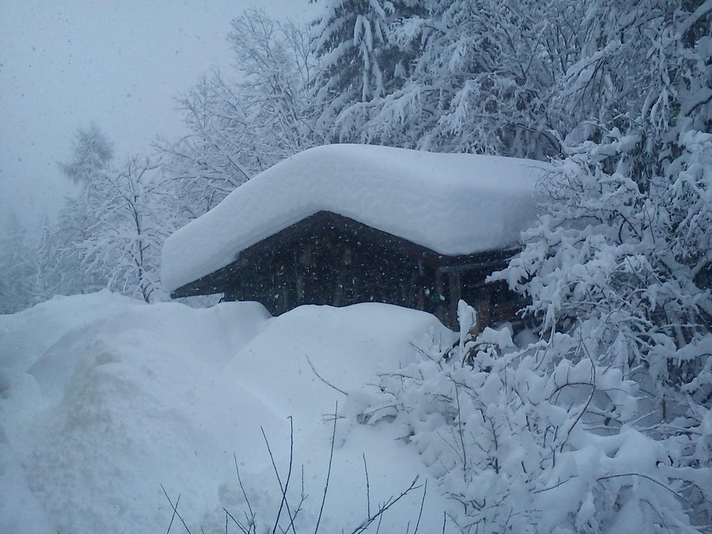 Waldhaus Διαμέρισμα Sankt Martin am Tennengebirge Εξωτερικό φωτογραφία