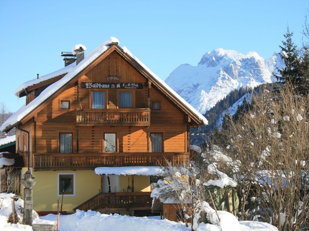 Waldhaus Διαμέρισμα Sankt Martin am Tennengebirge Εξωτερικό φωτογραφία